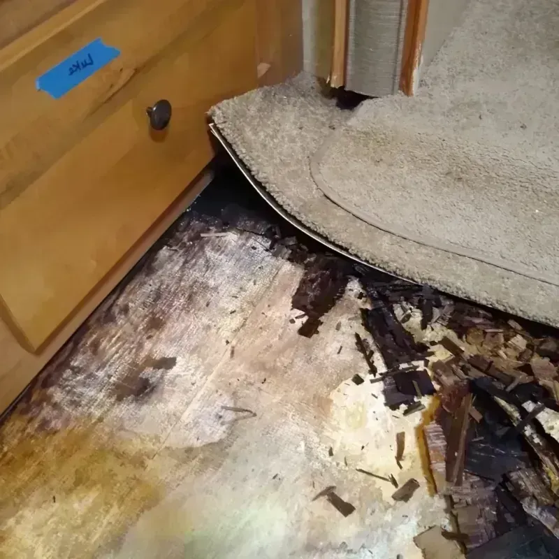 Best Wood Floor Water Damage Service in West Lake Sammamish, WA